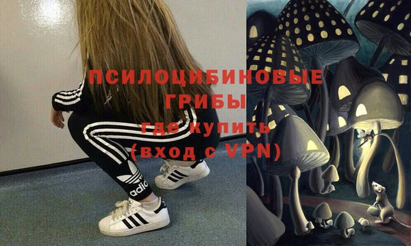 шишки Пенза