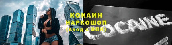 молекула духа Киров