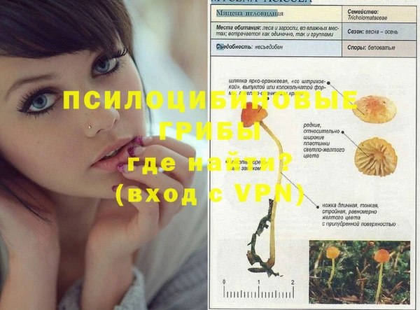 молекула духа Киров