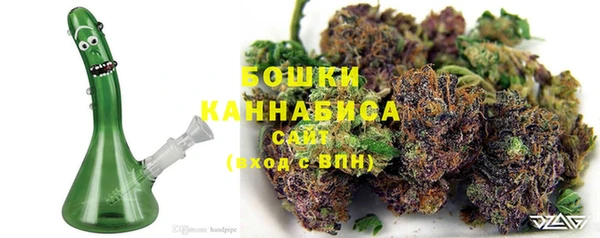 молекула духа Киров