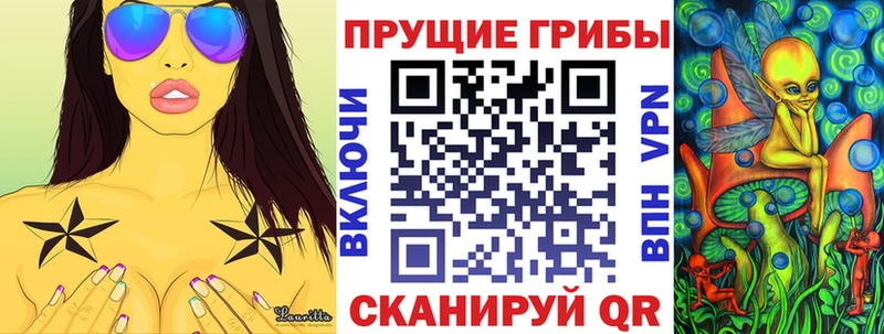 Галлюциногенные грибы Cubensis  Кириши 