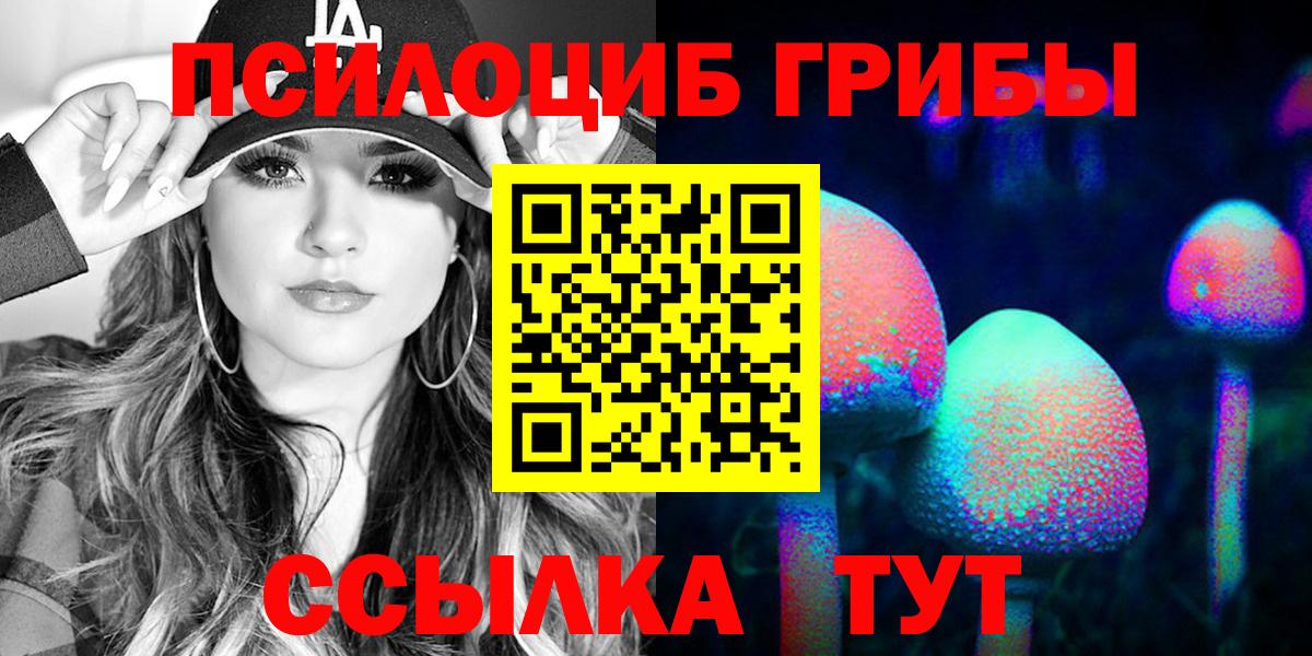 Псилоцибиновые грибы GOLDEN TEACHER Кириши