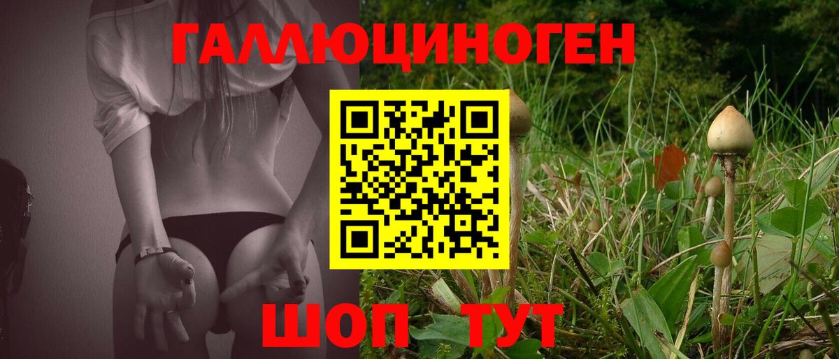 Галлюциногенные грибы Magic Shrooms  Вход с VPN  Кириши 